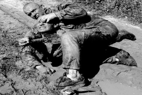 adrzej bryl atakuje oczy przeciwnika