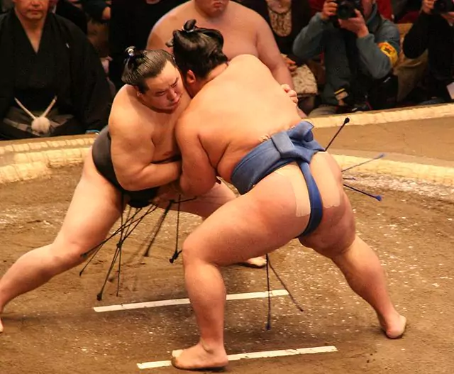 zawody sumo