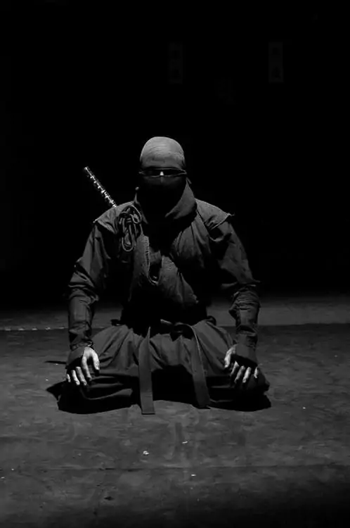 ninjutsu