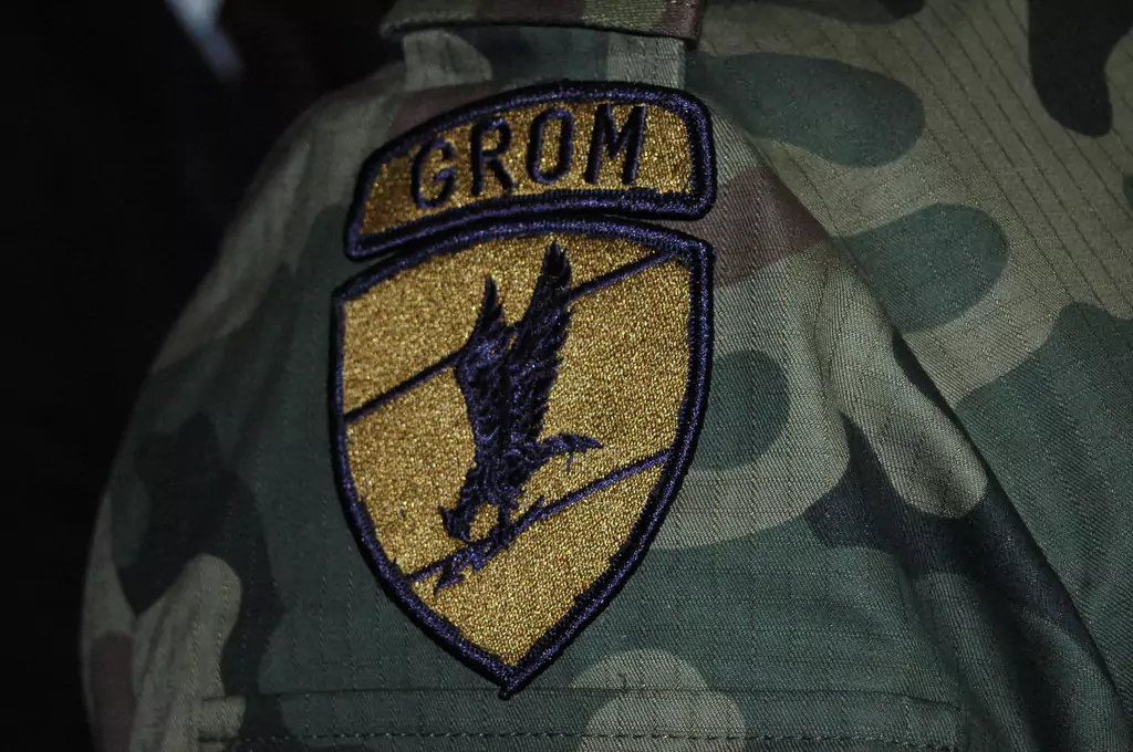odznaka grom