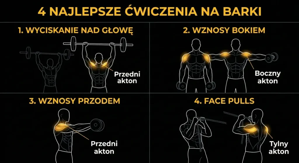 Grafika przedstawiająca 4 najlepsze ćwiczenia na barki wraz z zaznaczonymi aktonami mięśni naramiennych.
