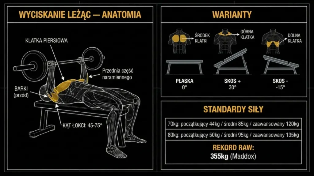 Mężczyzna leży na ławce, wykonując wyciskanie sztangi, z opisanymi zaangażowanymi mięśniami oraz kątem łokcia. Obok pokazane są warianty ćwiczeń, standardy siły i rekord raw: 355kg (Maddox).
