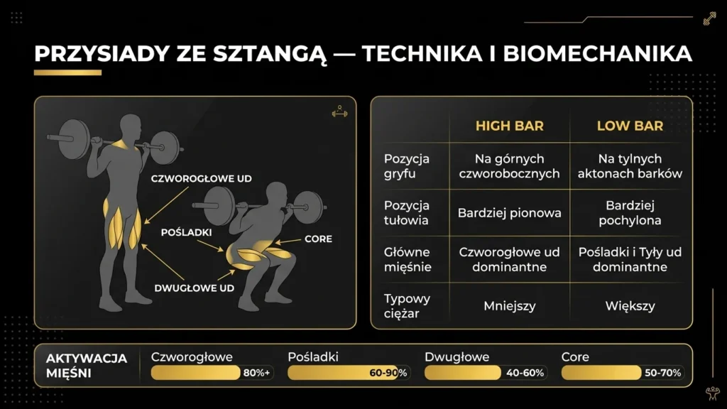 Infografika przysiady ze sztangą – technika, biomechanika i aktywacja mięśni