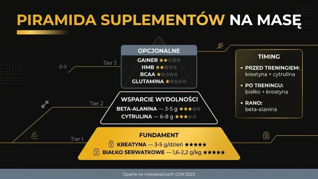Infografika: piramida suplementów na masę – kreatyna, białko, beta-alanina i dawkowanie