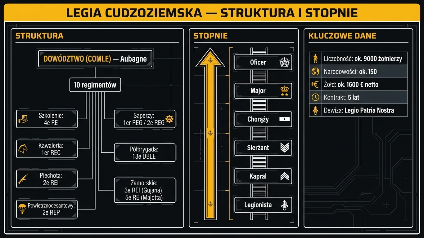 Infografika: struktura dowodzenia, regimenty i hierarchia stopni w Legii Cudzoziemskiej
