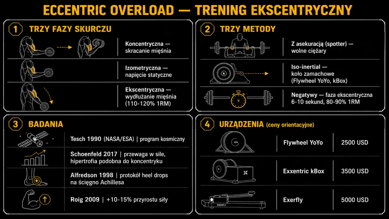 Infografika eccentric overload – fazy ruchu koncentryczna ekscentryczna izometryczna, urządzenia FlywHeel YoYo Kbox, badania Tesch Schoenfeld Alfredson, obciążenie supramaksymalne w fazie opuszczania