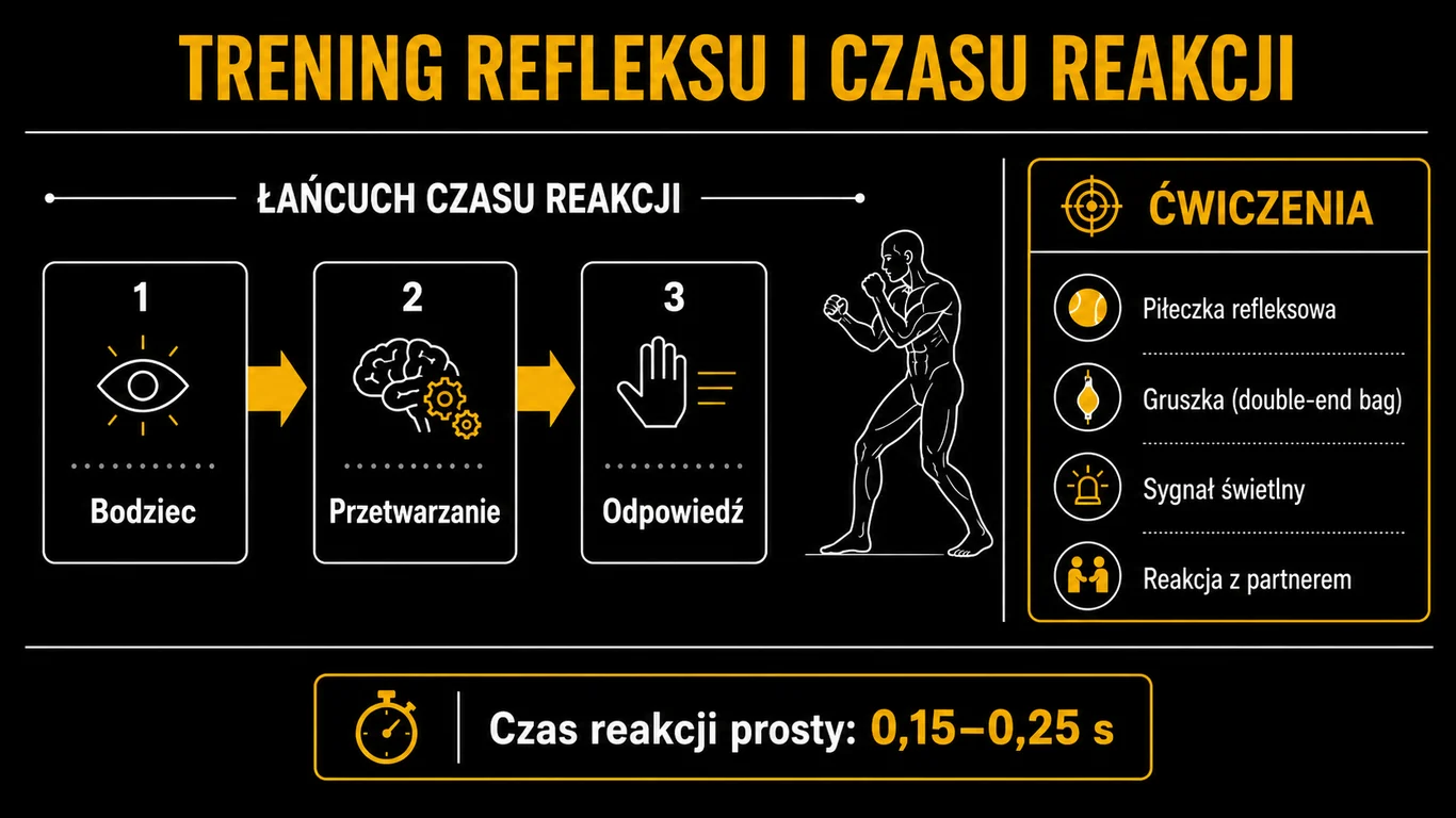 Infografika: trening refleksu – łańcuch czasu reakcji i ćwiczenia