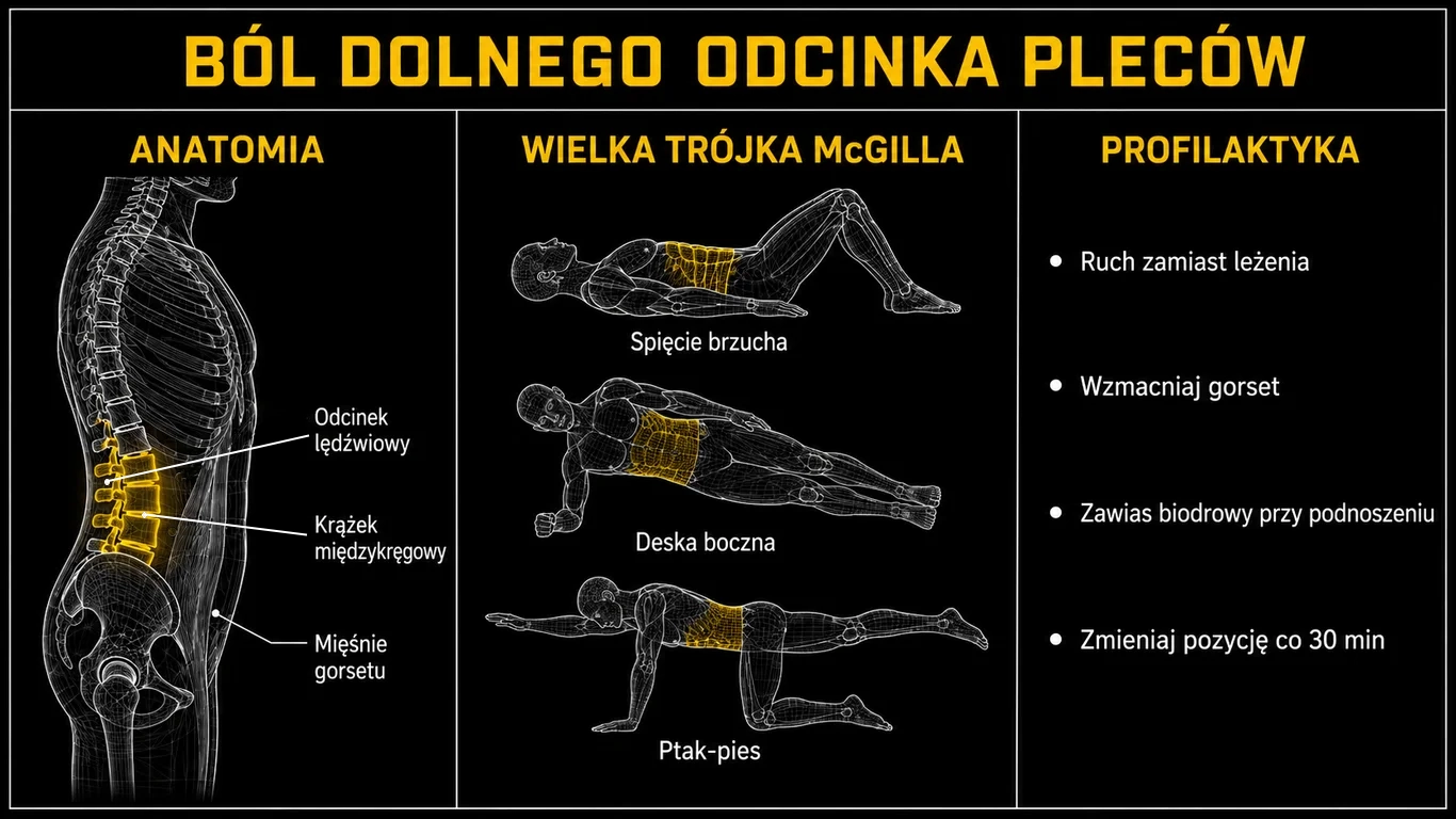 Infografika: ból dolnego odcinka pleców – anatomia lędźwiowego odcinka kręgosłupa, wielka trójka McGilla (spięcie brzucha, deska boczna, ptak-pies) oraz zasady profilaktyki