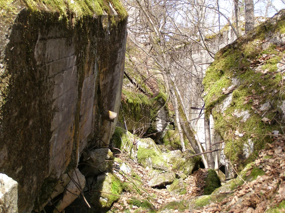 Ruiny żelbetowego bunkra w Wilczym Szańcu w Gierłoży, porośnięte mchem i otoczone drzewami.